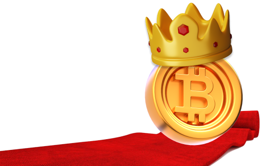 Bitcoin is King